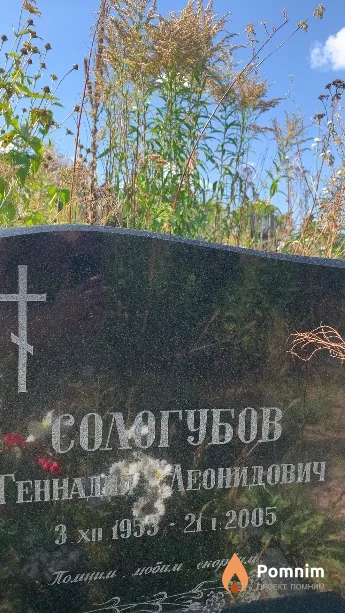 Сологубов Геннадий Леонидович