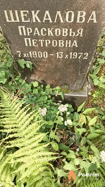 Шекалова Прасковья Петровна