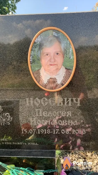 Носевич Пелогея Иосифовна