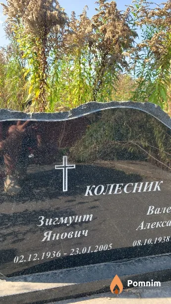 Колесник Зигмунт Янович