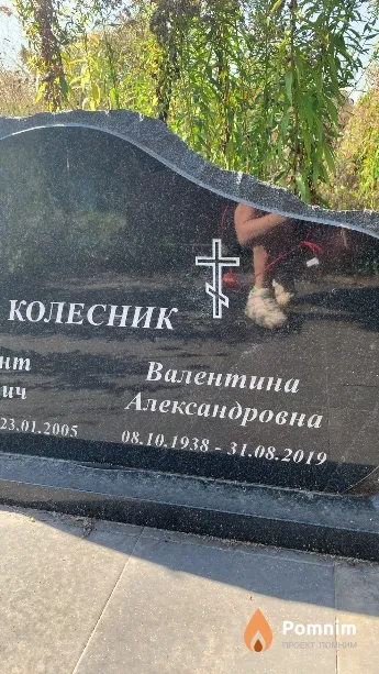 Колесник Валентина Александровна