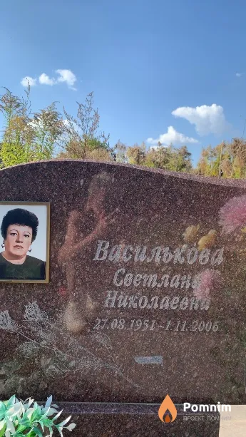 Василькова Светлана Николаевна