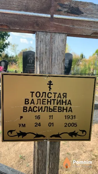 Толстая Валентина Васильевна
