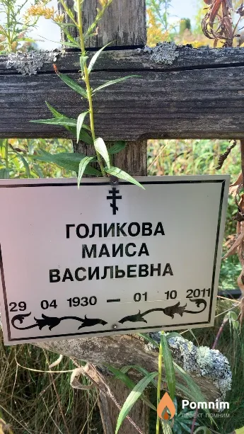 Голикова Маиса Васильевна