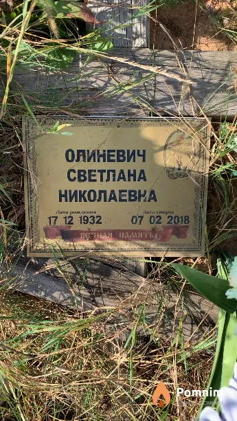 Олиневич Светлана Николаевна