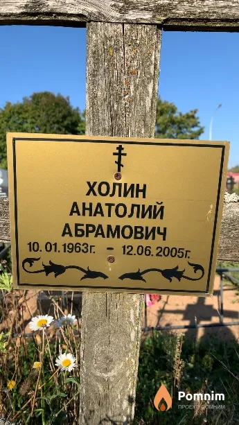 Холин Анатолий Абрамович