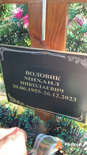 Воловик Михаил Николаевич