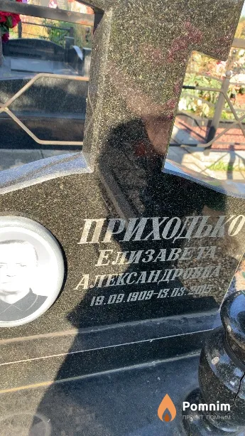 Приходько Елизавета Александровна