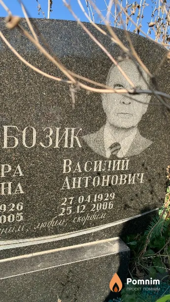 Бозик Василий Антонович