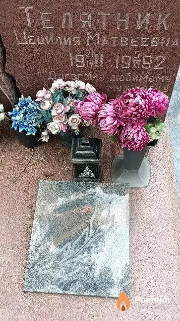 Телятник Цецилия Матвеевна