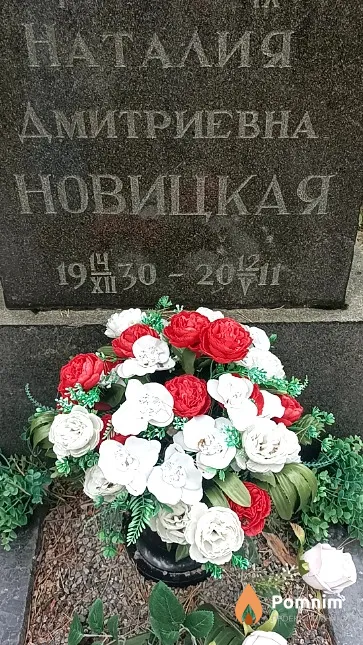 Новицкая Наталия Дмитриевна