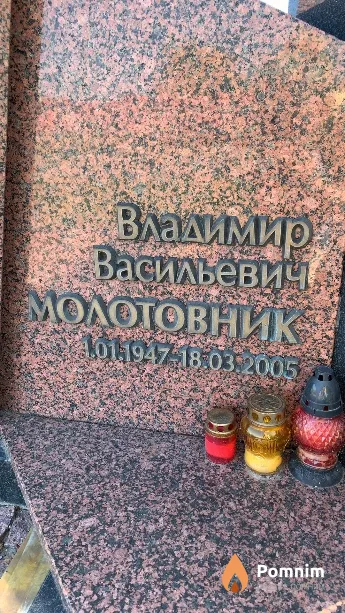 Молотовник Владимир Васильевич