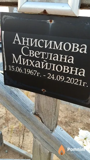 Анисимова Светлана Михайловна
