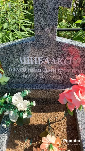 Шибалко Валентина Дмитриевна