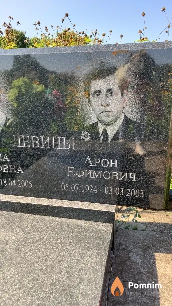 Левин Арон Ефимович