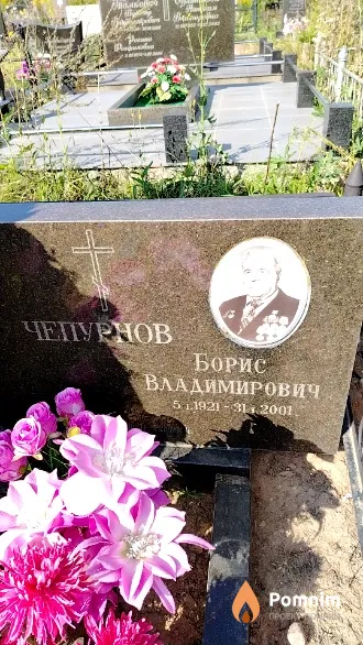 Чепурнов Борис Владимирович