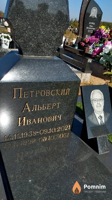 Петровский Альберт Иванович