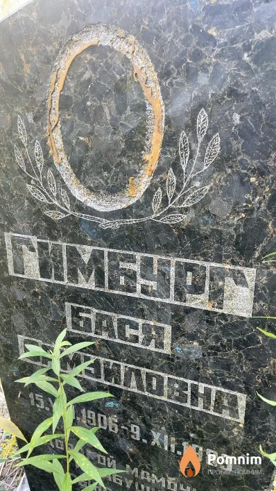 Гимбург Бася Самуиловна
