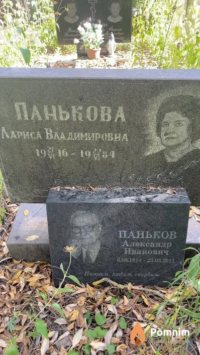 Панькова Лариса Владимировна