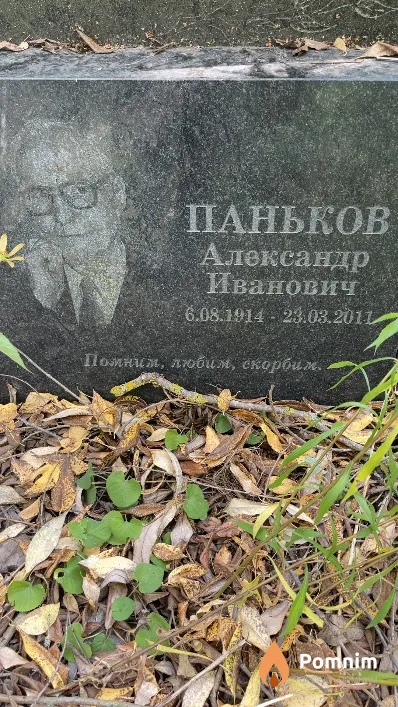 Паньков Александр Иванович