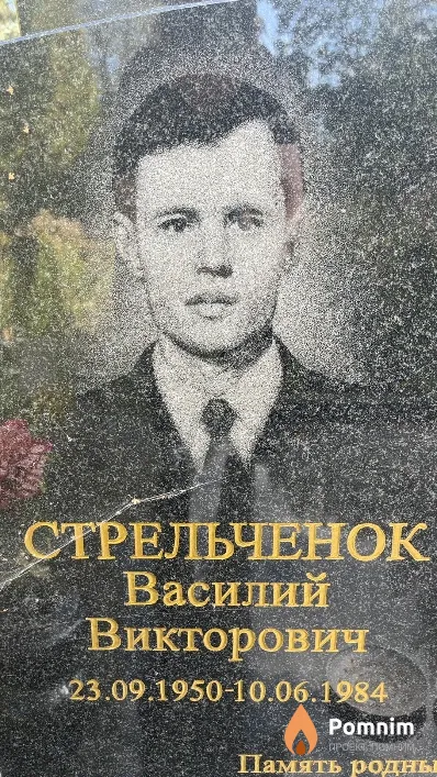 Стрельченок Василий Викторович