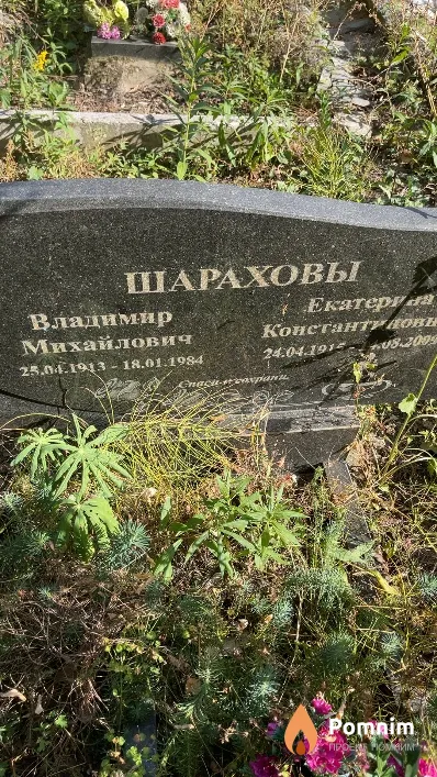 Шарахов Владимир Михайлович