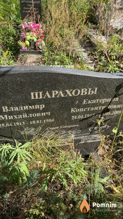 Шарахова Екатерина Константиновна