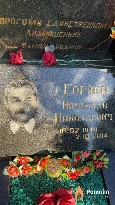 Горяев Вячеслав Николаевич