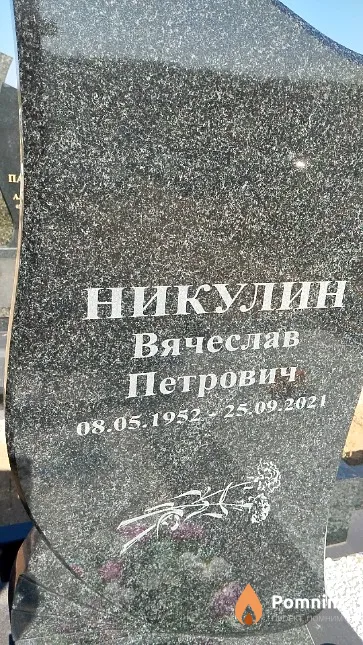 Никулин Вячеслав Петрович