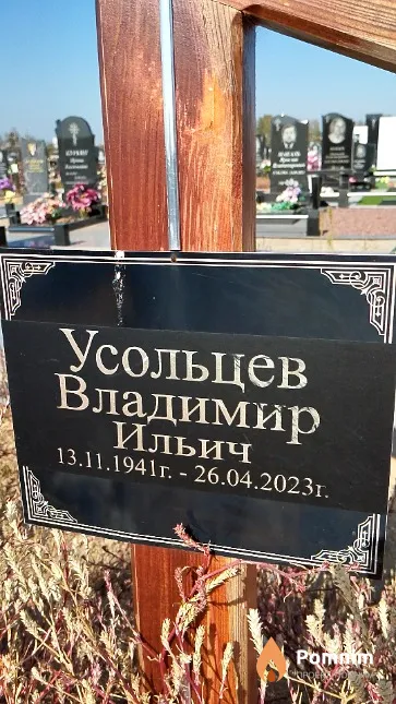 Усольцев Владимир Ильич