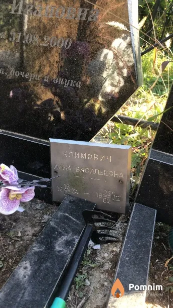 Климович Анна Васильевна