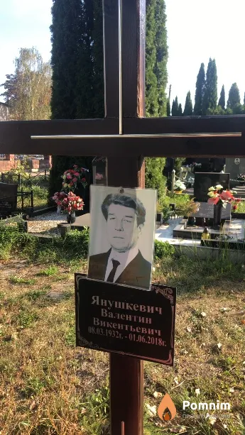Янушкевич Валентин Викентьевич