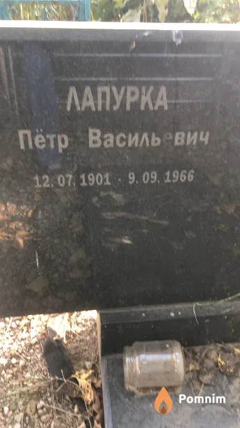 Лапурка Пётр Васильевич