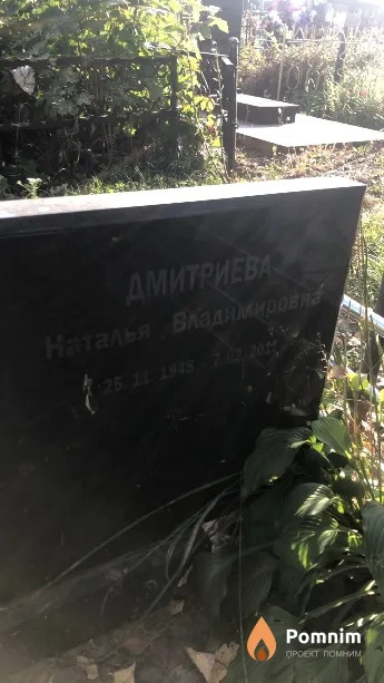 Дмитриева Наталья Владимировна