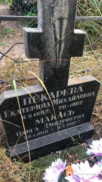 Покарева Екатерина Михайловна