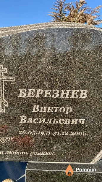 Березнев Виктор Васильевич