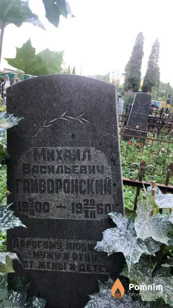 Гайворонский Михаил Васильевич