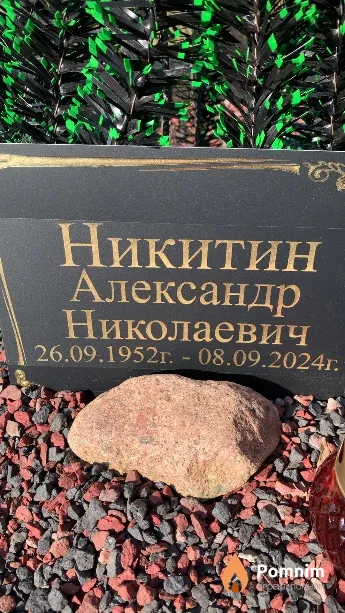 Никитин Александр Николаевич