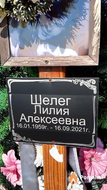 Шелег Лилия Алексеевна