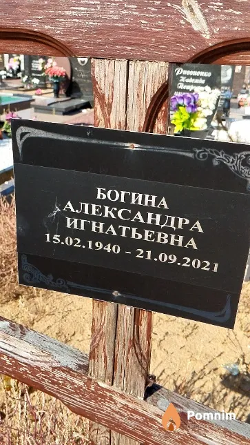 Богина Александра Игнатьевна
