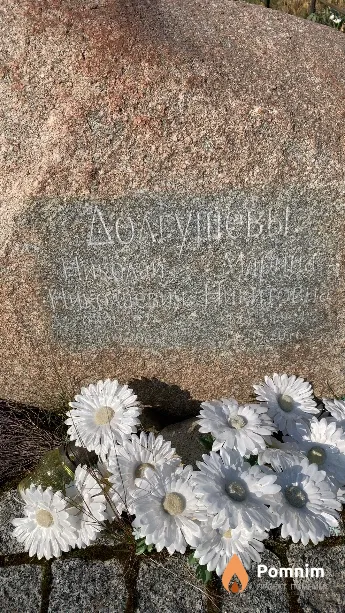 Долгушев Николай Николаевич