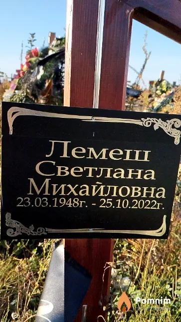 Лемеш Светлана Михайловна