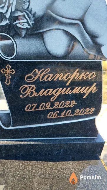 Напорко Владимир