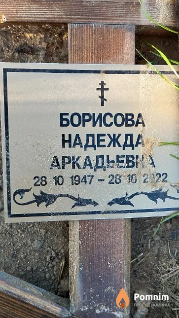 Борисова Надежда Аркадьевна