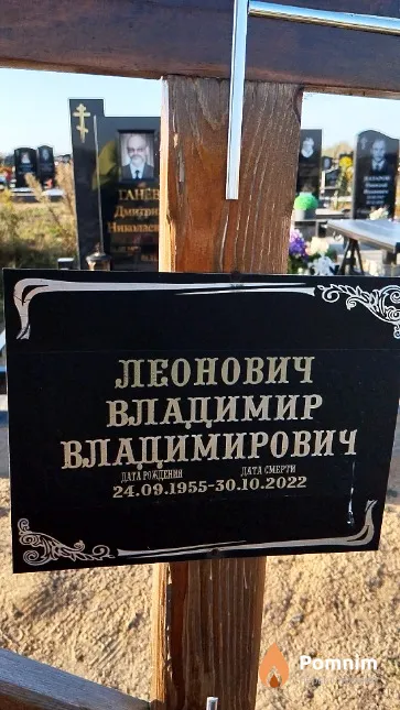 Леонович Владимир Владимирович
