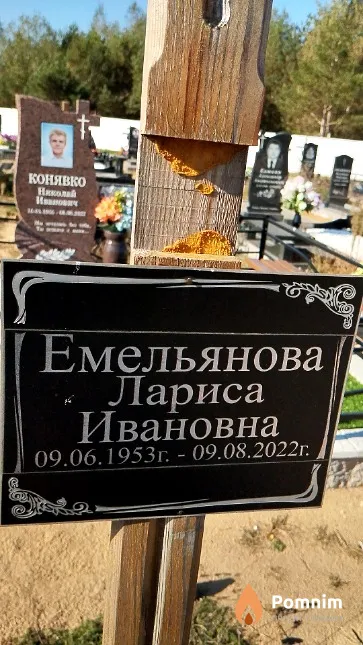 Емельянова Лариса Ивановна