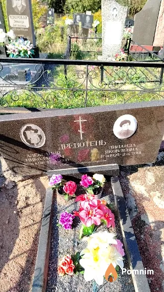 Древотень Александр Николаевич