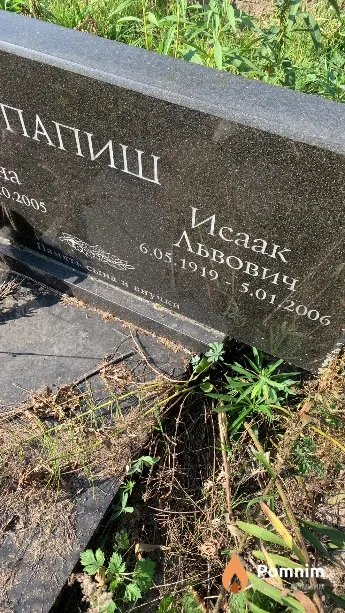 Папиш Исаак Львович