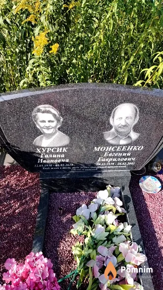 Моисеенко Евгений Гаврилович