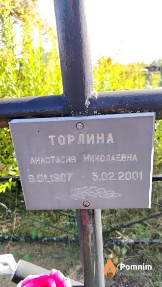 Торлина Анастасия Николаевна